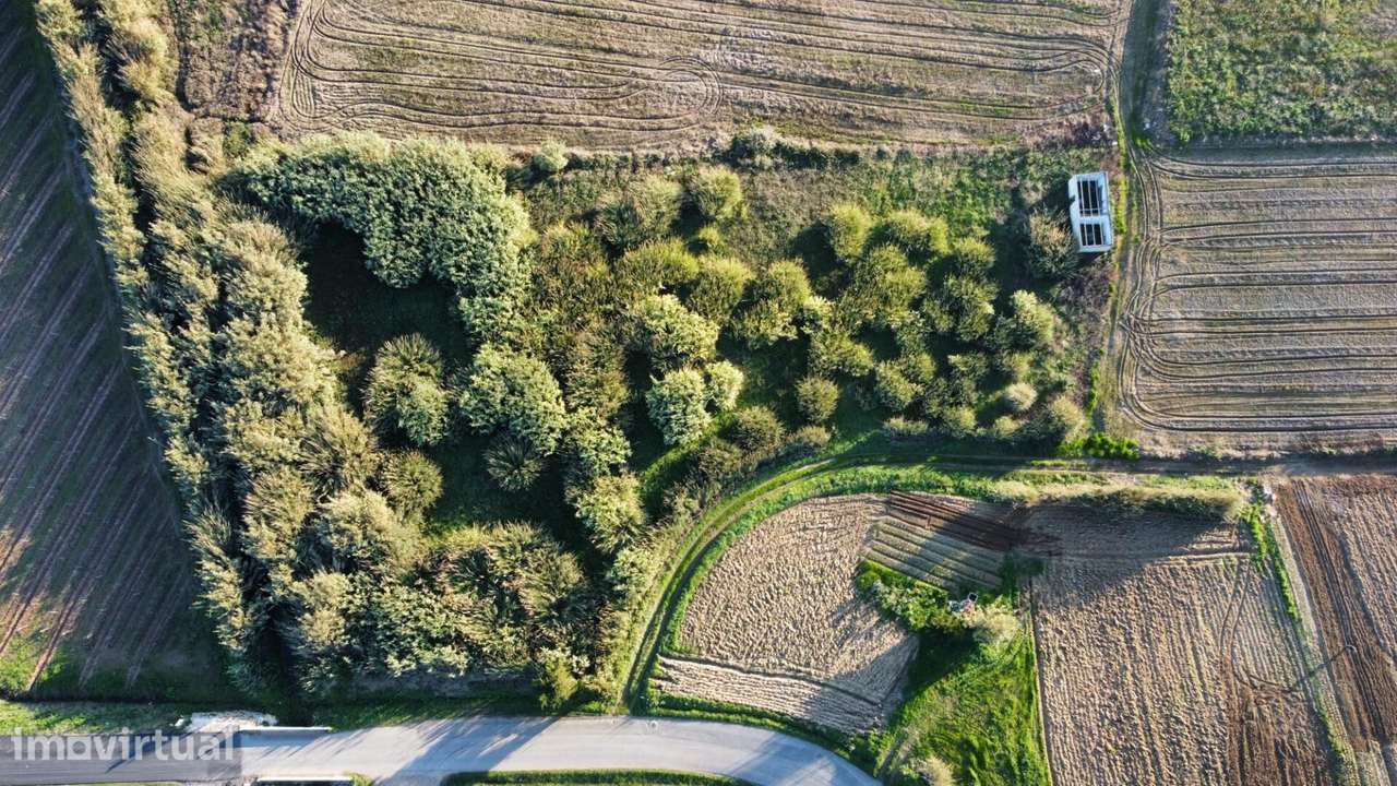 Terreno Plano Agrícola, 5.898 m2, Poço, Arrecadação e Bons Acessos–S P - Grande imagem: 4/27