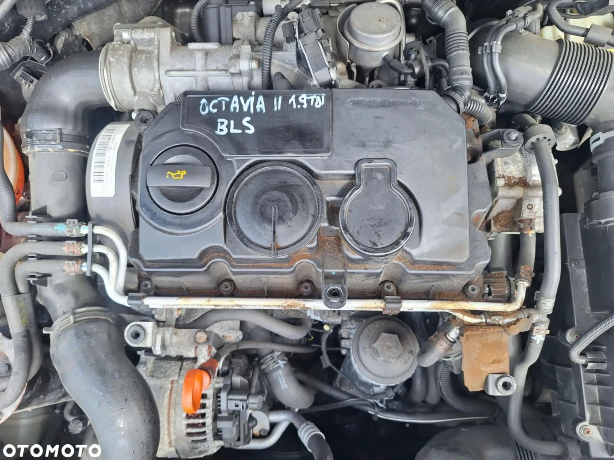 SILNIK 1.9 TDI BLS VW TOURAN GOLF V CADDY OCTAVIA ALTEA LEON II GWARANCJA - 1