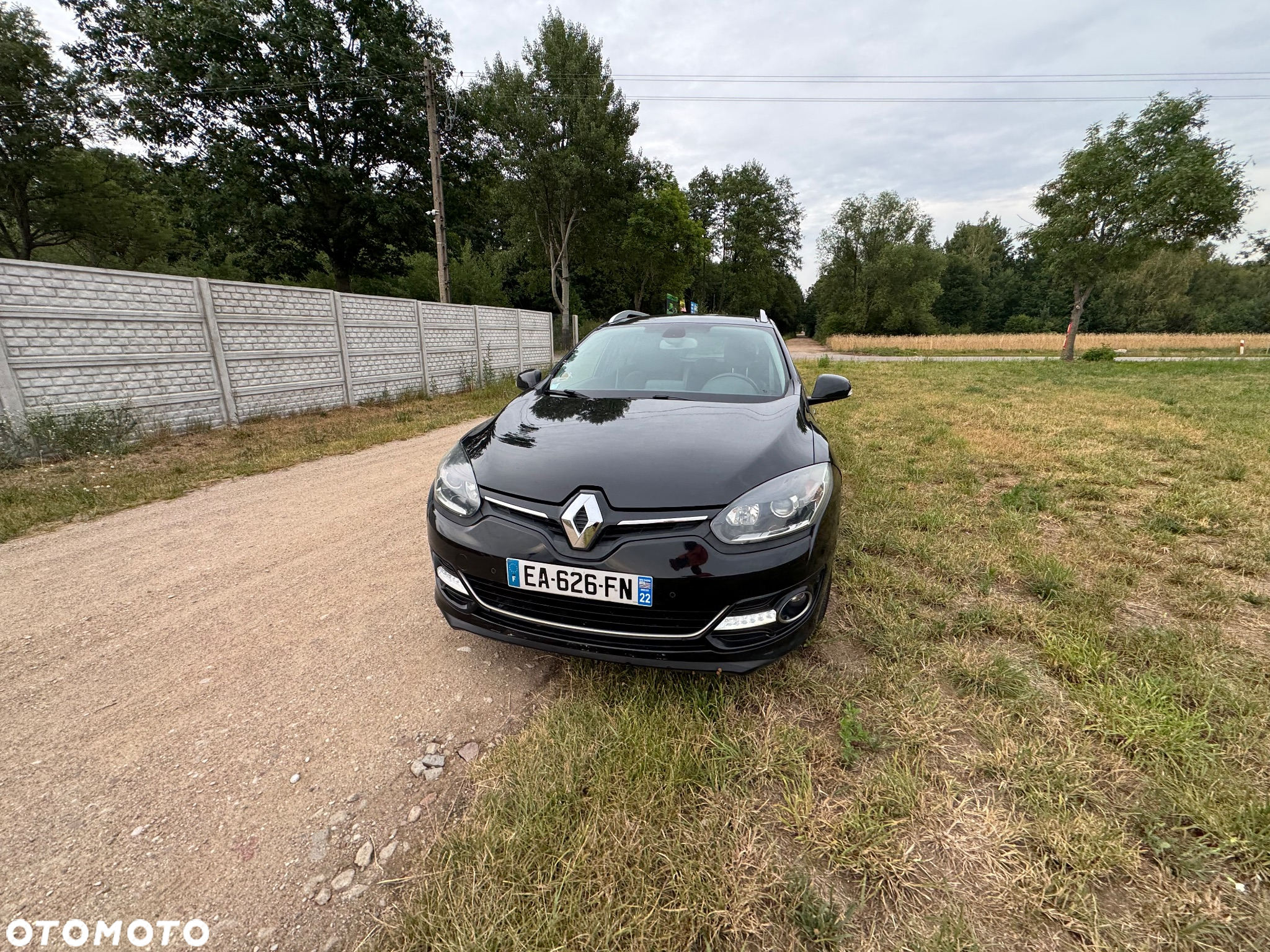 Renault Megane - 24