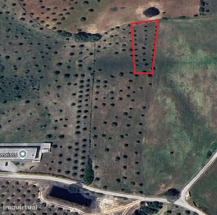 Terreno rústico de 2660 m2 em Tremês, Santarém - Grande imagem: 2/8