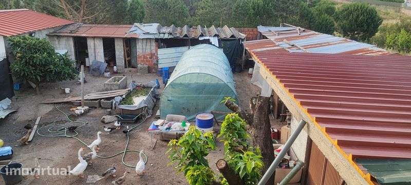Terrenos Rústicos , - Grande imagem: 3/6