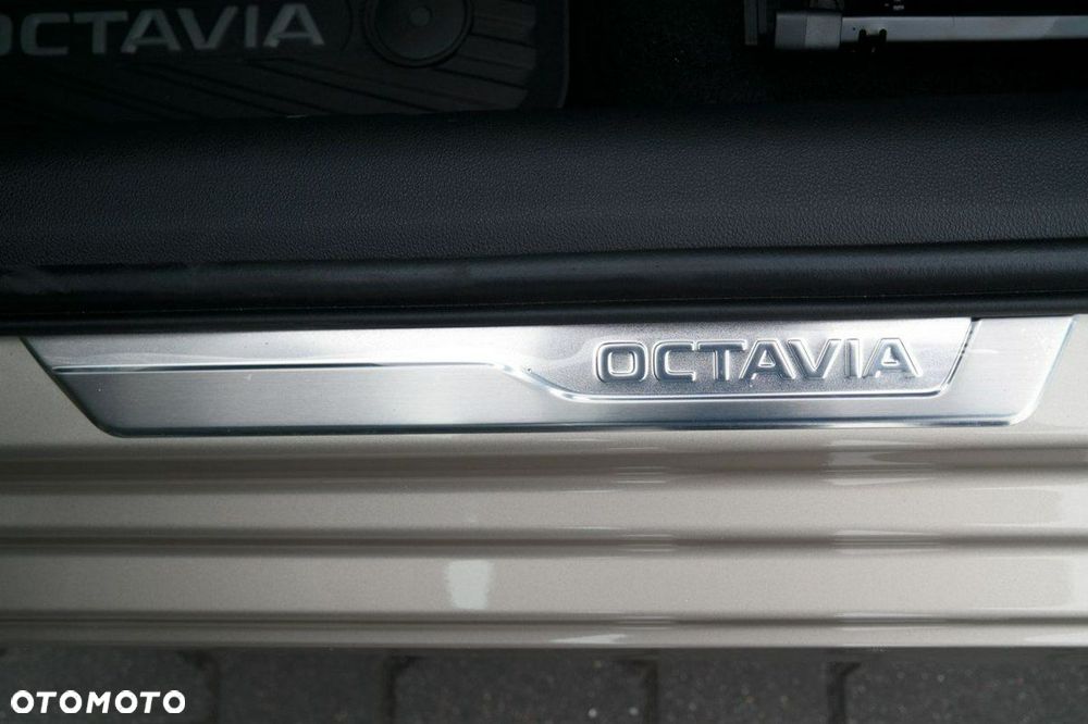 Skoda Octavia - 29