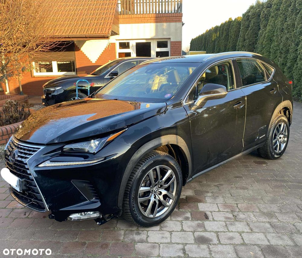 Lexus NX - 10