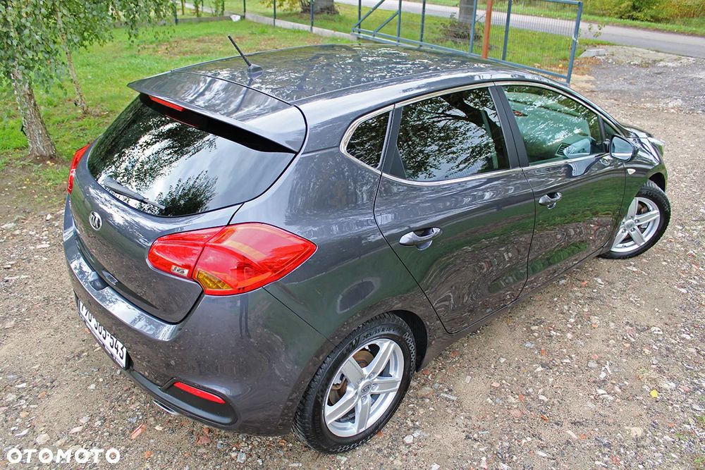 Kia Ceed 1.6 CRDi 128 Fifa World Cup Edition - 32