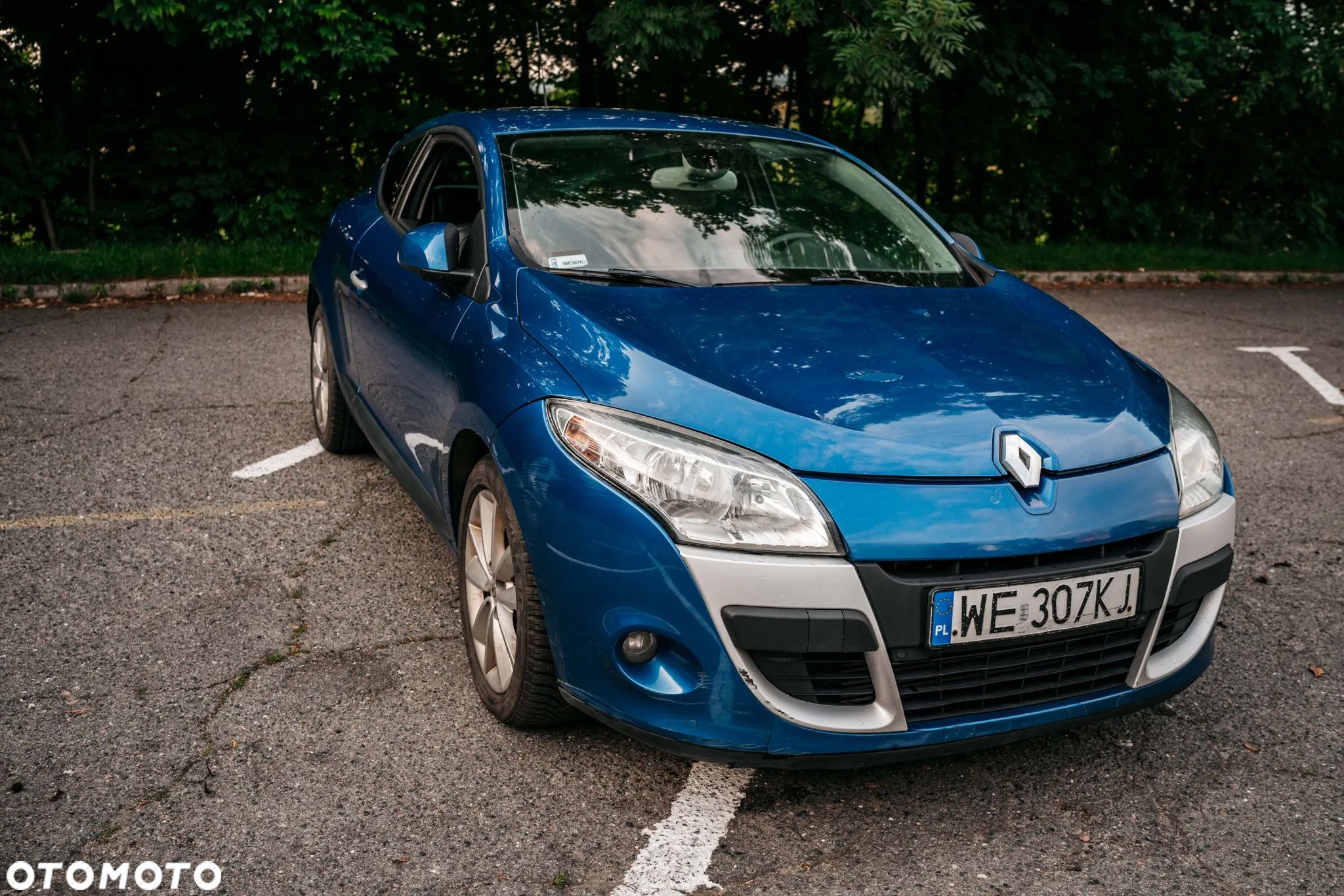 Renault Megane 1.9 dCi Dynamique - 1