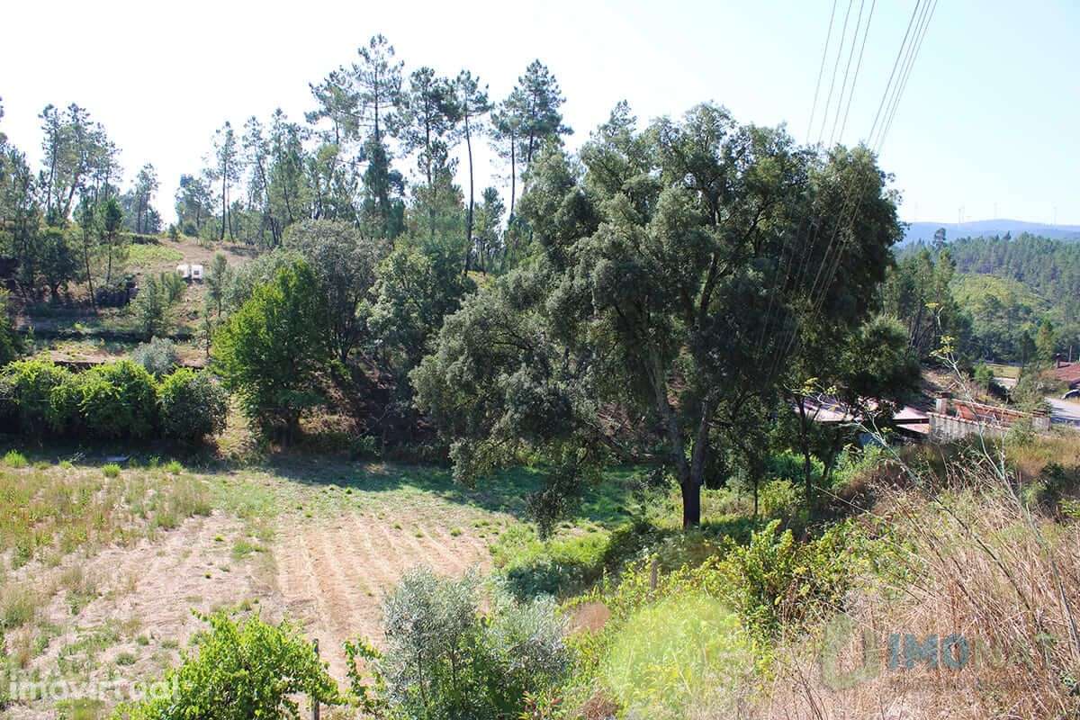 Lote de Terreno - Grande imagem: 4/15