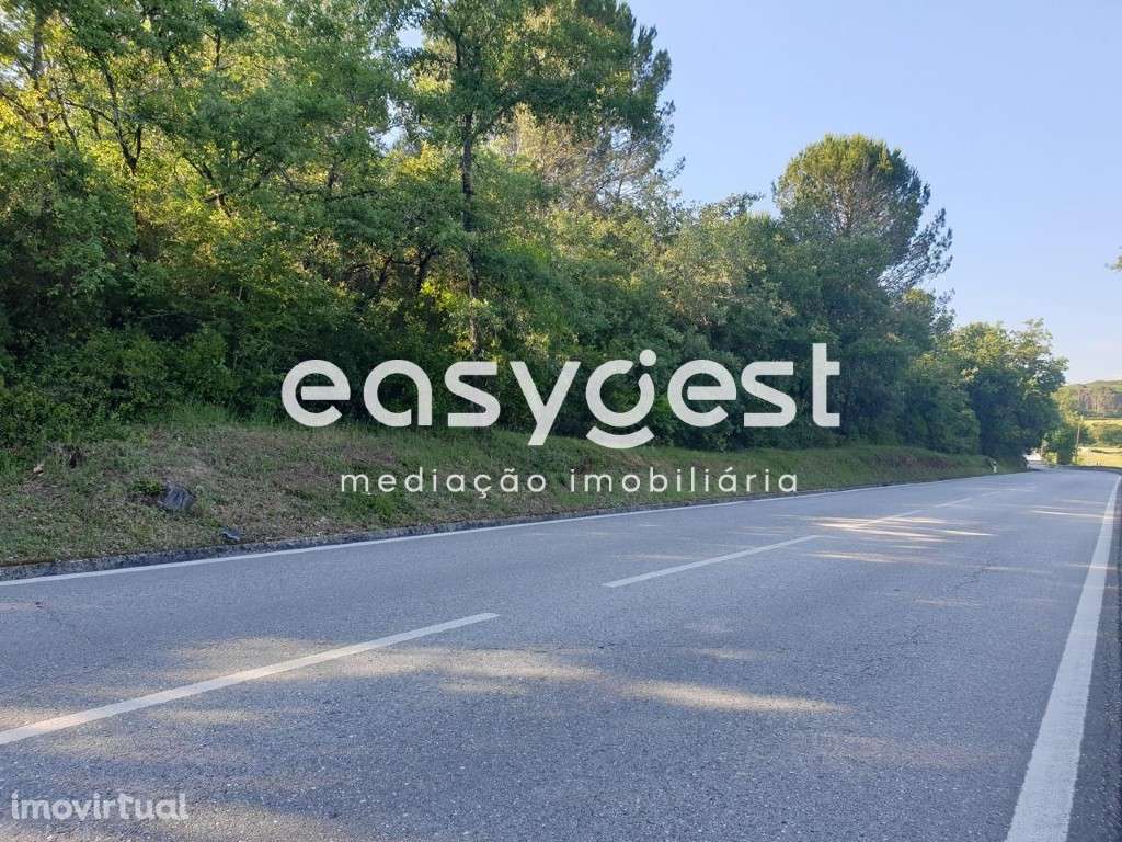 Terreno em Soure, às portas da cidade junto a área comercial - Grande imagem: 4/4