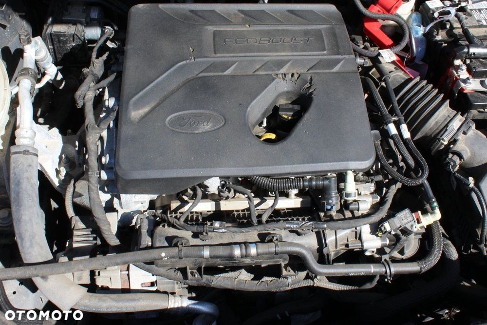 Ford Escape IV 2020 1.5 Ecoboost Suv 5-drzwi (MASKA, ZDERZAK, LAMPA, BŁOTNIK, DRZWI, SZYBA, FOTEL) - 10