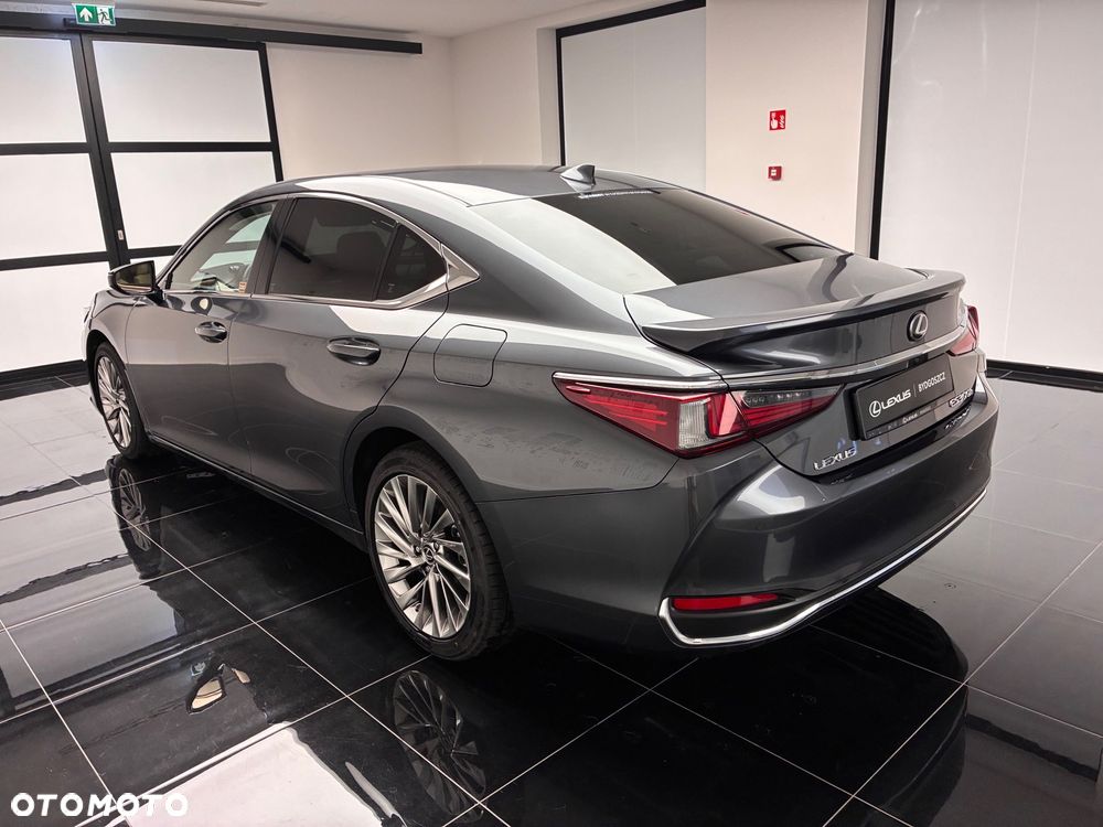 Lexus ES 300h Omotenashi - 21