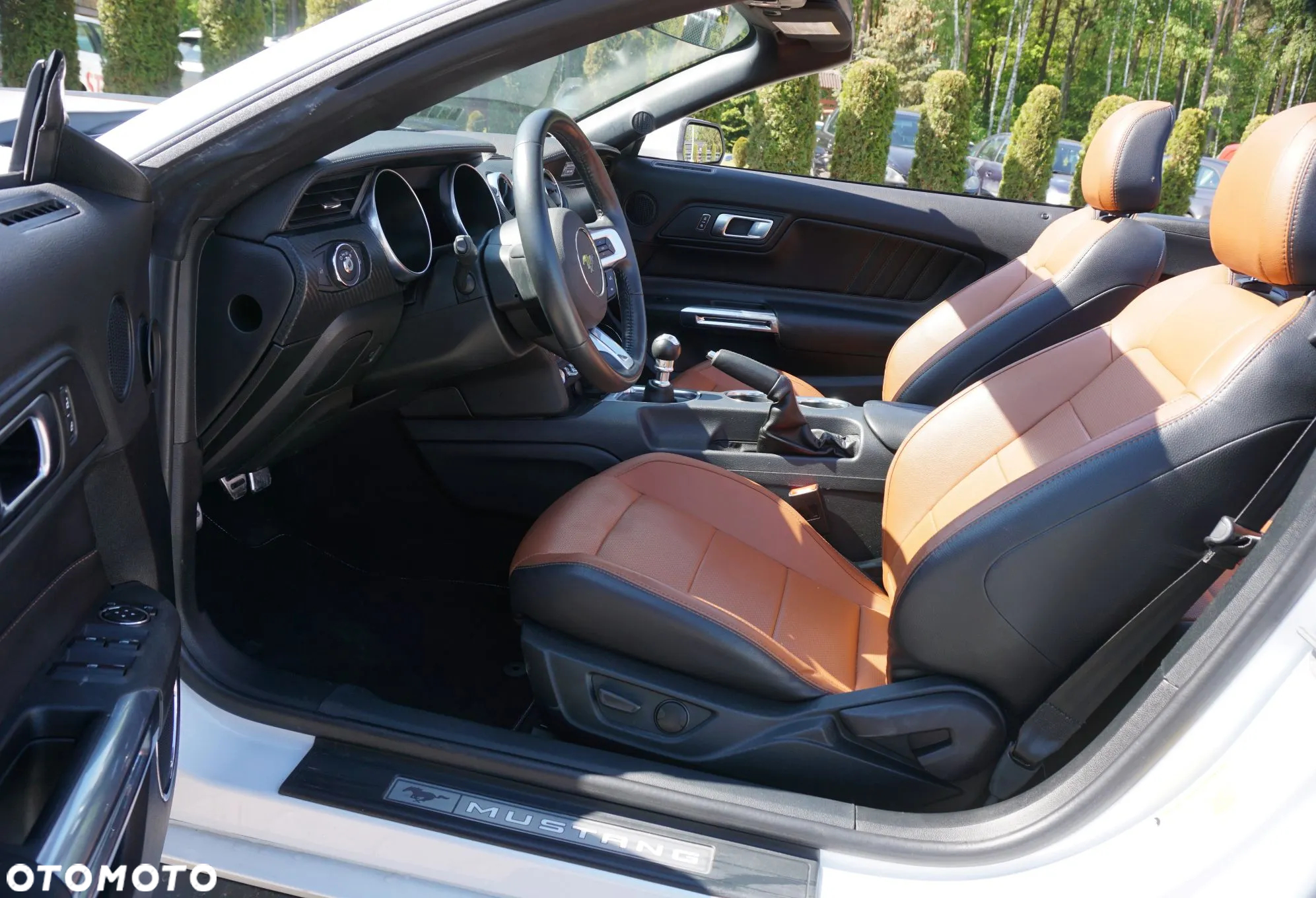 Ford Mustang Cabrio 2.3 Eco Boost - 22