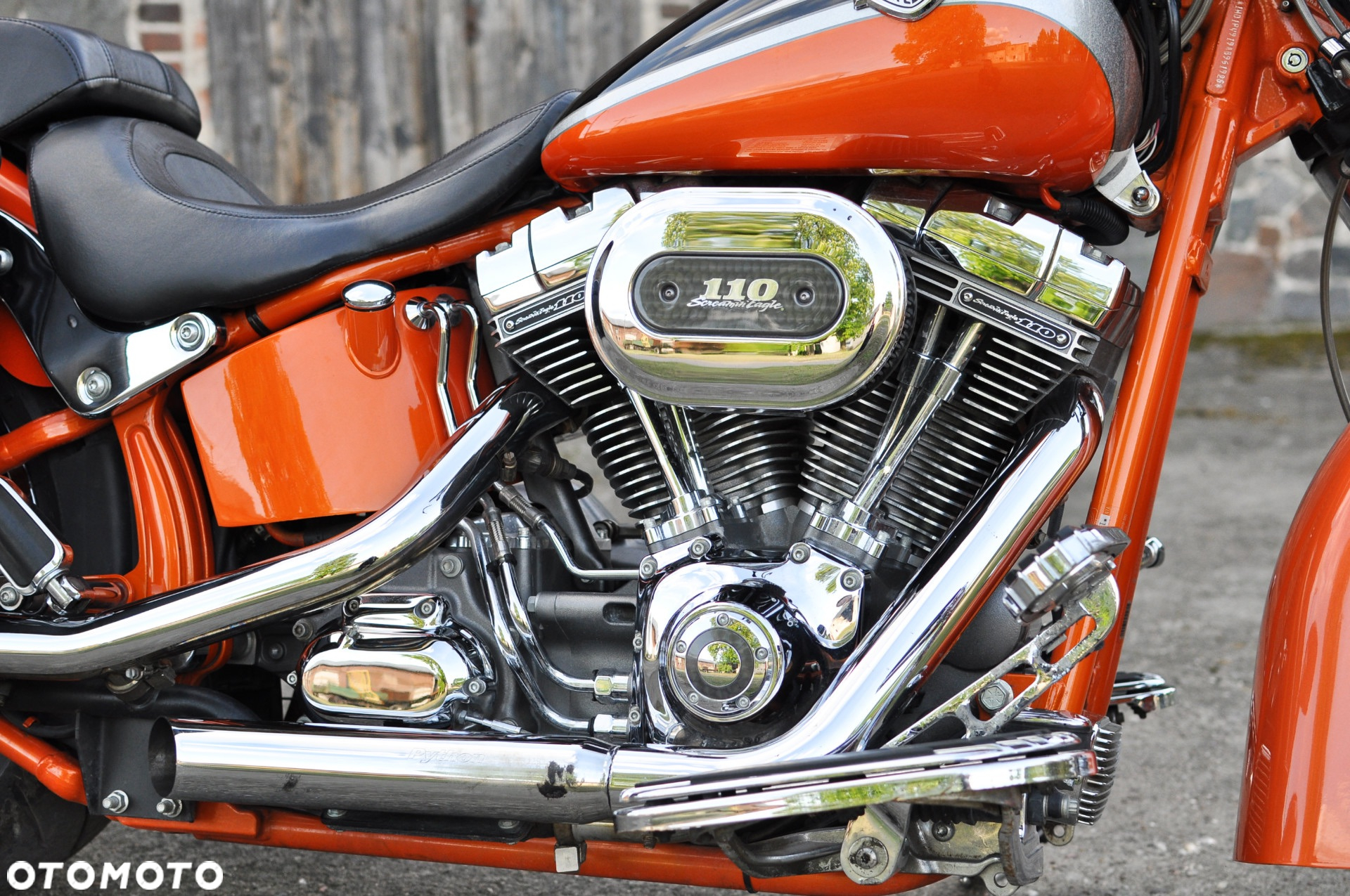 Harley-Davidson Softail - 9
