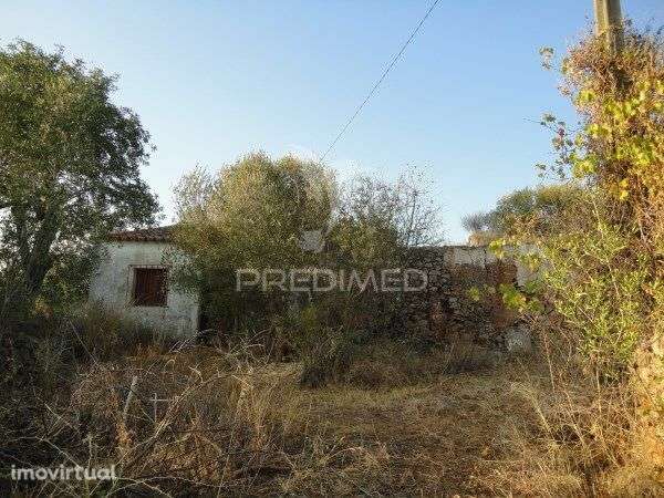 3 hectares de terreno com ruína - Grande imagem: 2/7