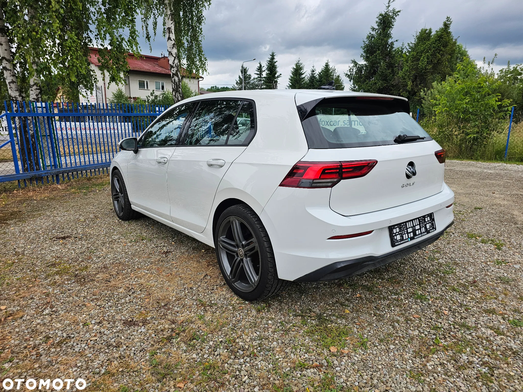 Volkswagen Golf VIII 2.0 TDI United - 3