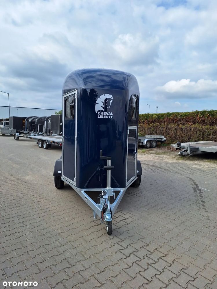 Cheval Liberte Gold Origin Debon - 6