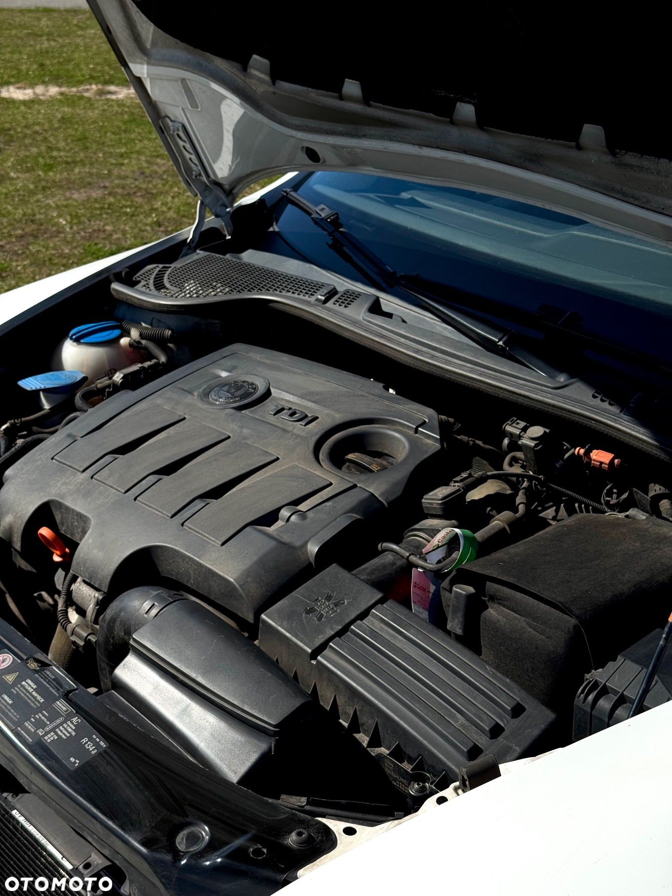 Skoda Octavia 1.6 TDI Ambition - 33