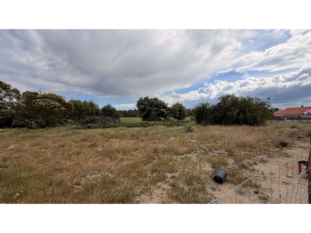 Terreno com Vista Premium na Comporta - Grande imagem: 4/18