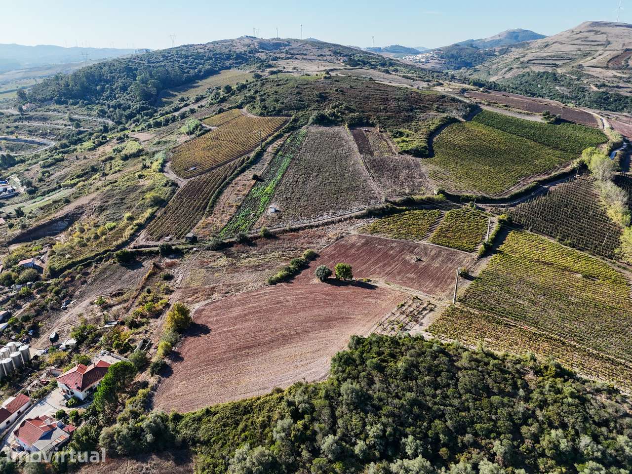 Terreno Rústico para produção Agricola - Grande imagem: 3/7