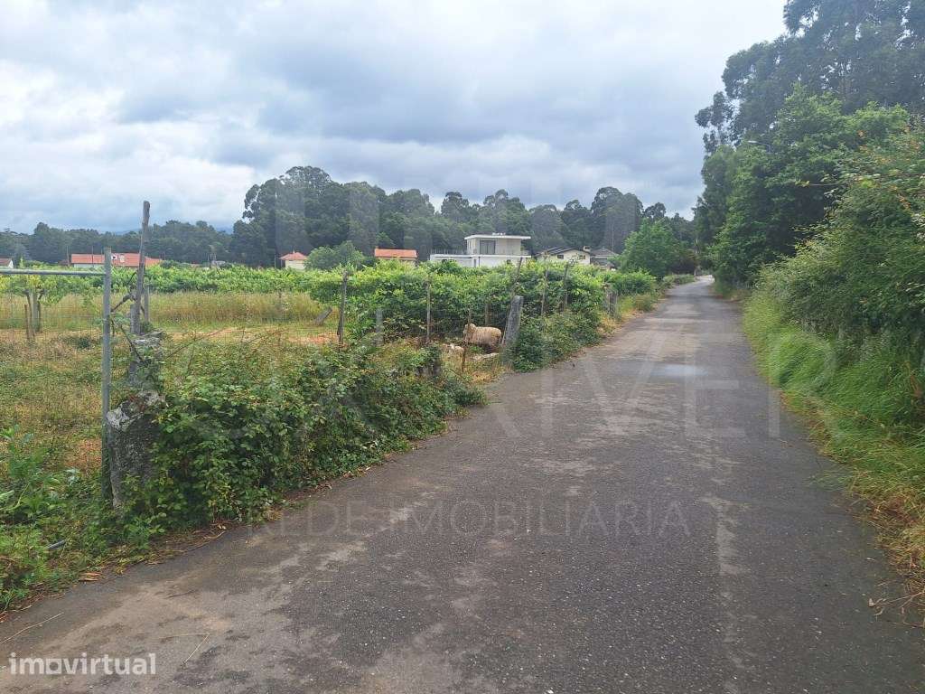TERRENO PARA CONSTRUÇÃO - MONÇÃO - Grande imagem: 3/4