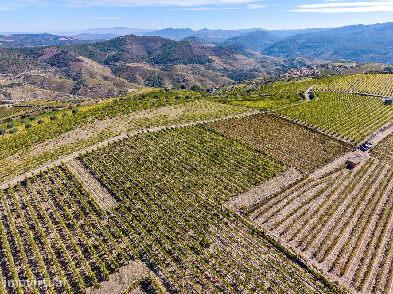 VINHA À VENDA EM MURÇA – REGIÃO DEMARCADA DO DOURO - Grande imagem: 3/23
