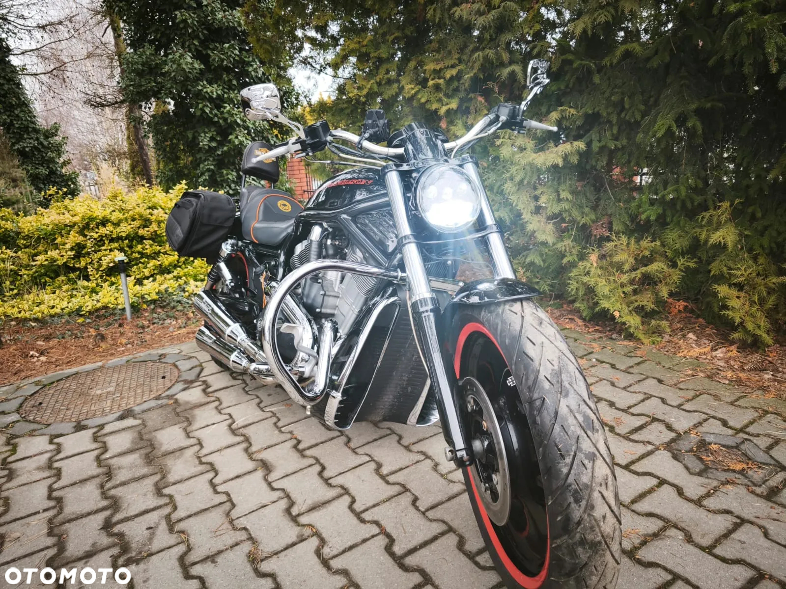 Harley-Davidson V-Rod Street Rod - 11