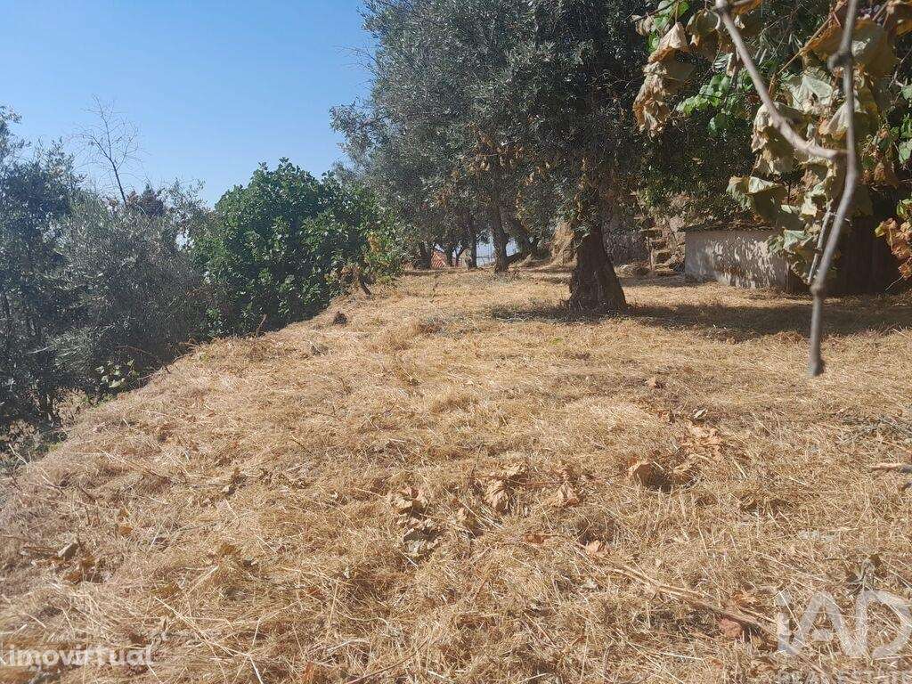 Habitação T6 em Cantar-Galo E Vila Do Carvalho de 160,00 m2 - Grande imagem: 5/12