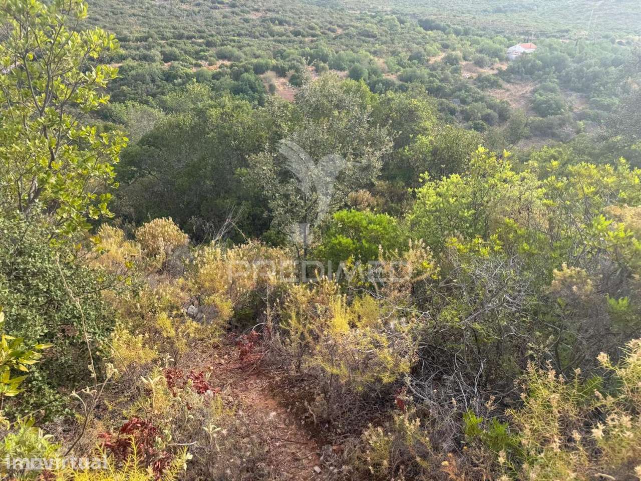 Terreno Rustico Machados São Brás de Alportel - Grande imagem: 3/5
