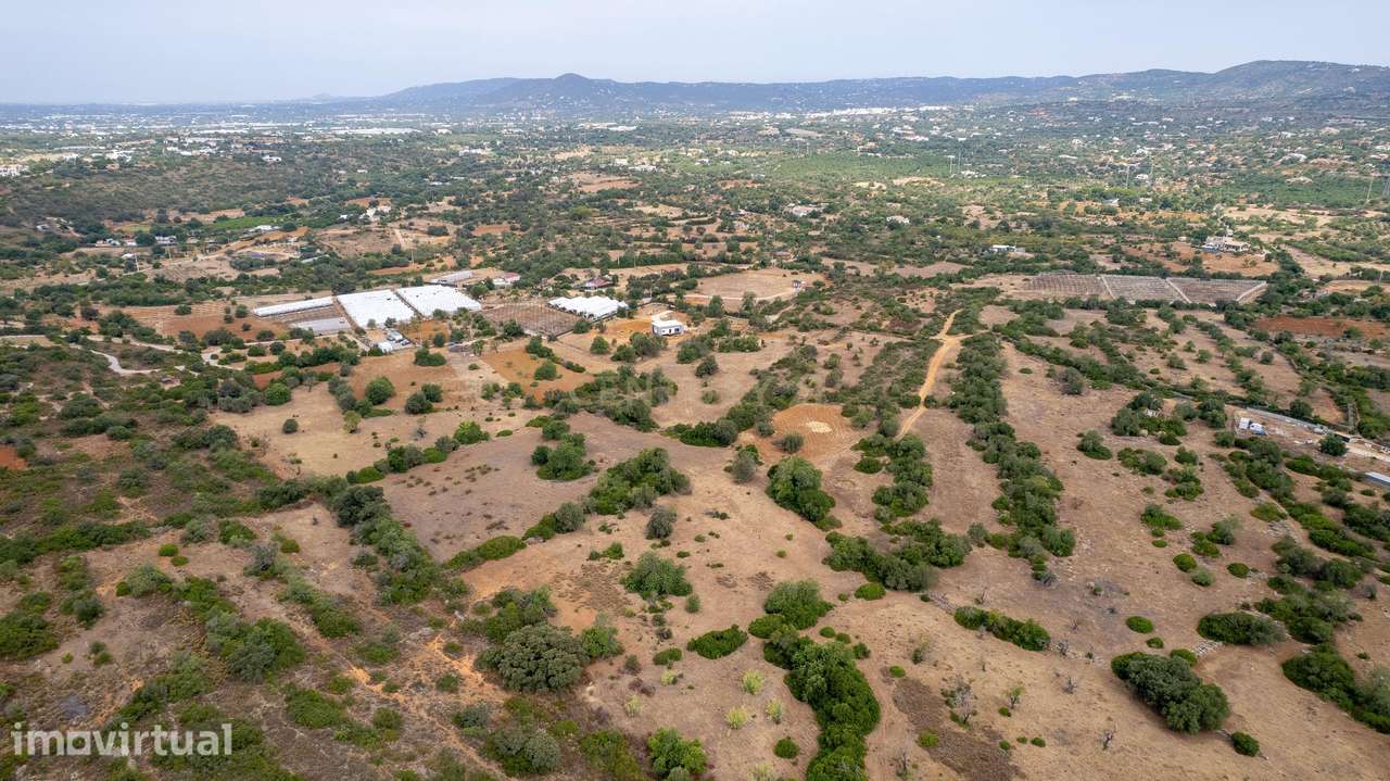 Terreno Rústico de 7.580 m² entre Pechão e Estoi - Grande imagem: 5/12