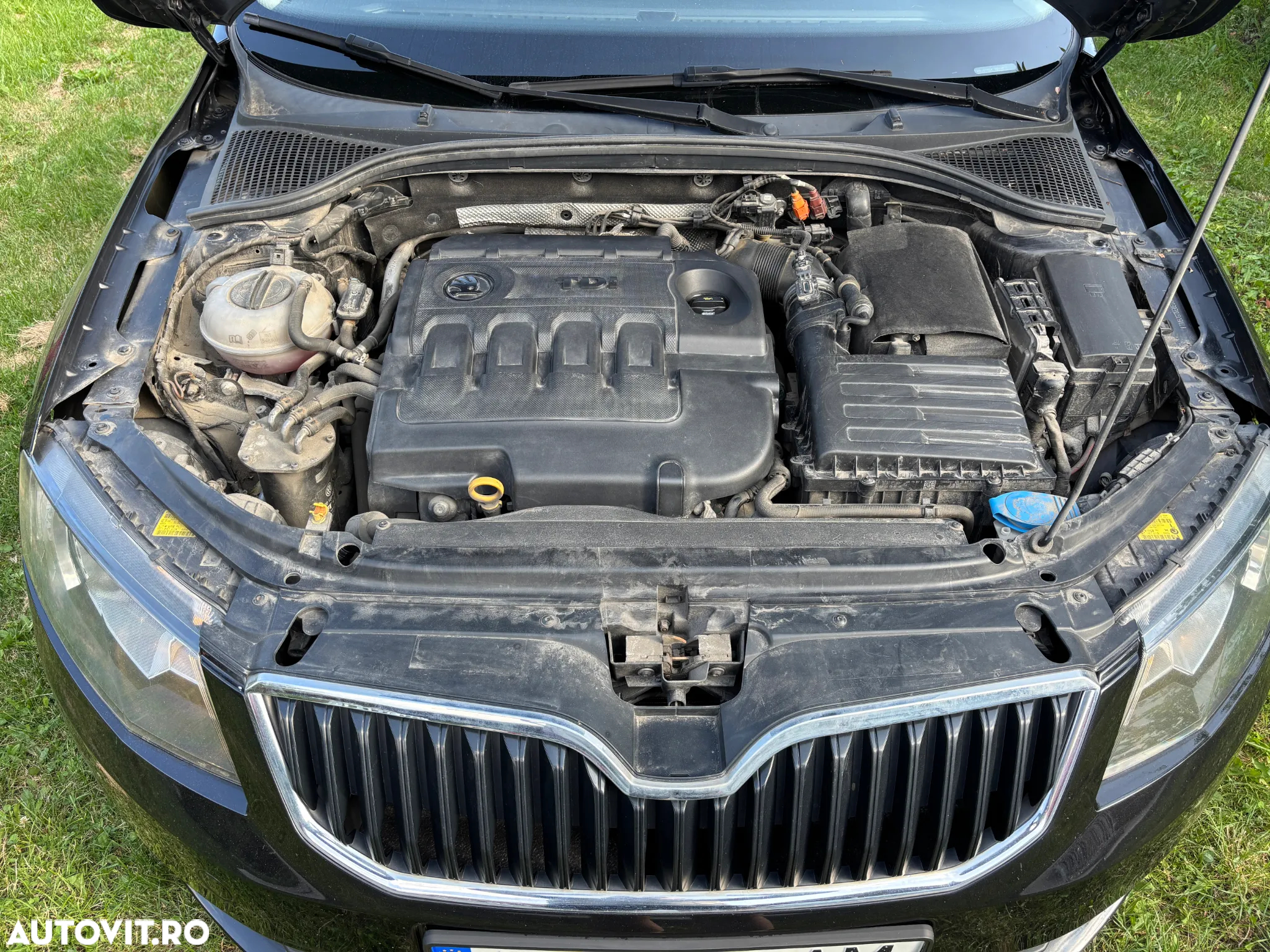 Skoda Octavia 1.6 TDI ELEGANCE - 6