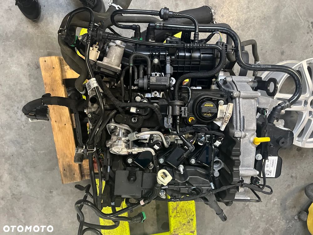 PUMA FIESTA MK8 SILNIK 1.0 ECOBOST 22R B7JB  N1BG N1BG6007AA - 8