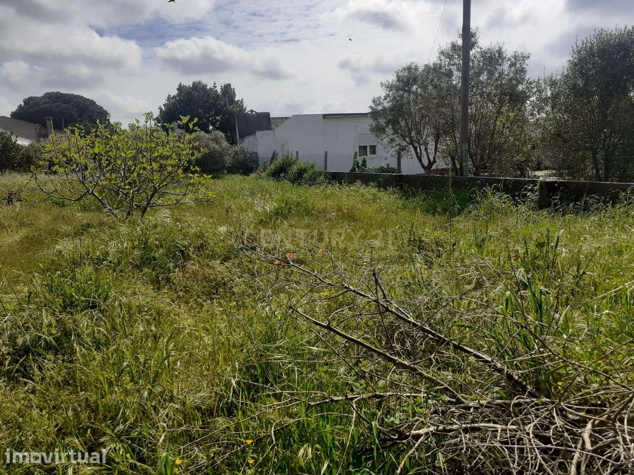 Terreno para Construção – Na Freguesia de Santo Isidro de Pegões | 629 - Grande imagem: 4/5