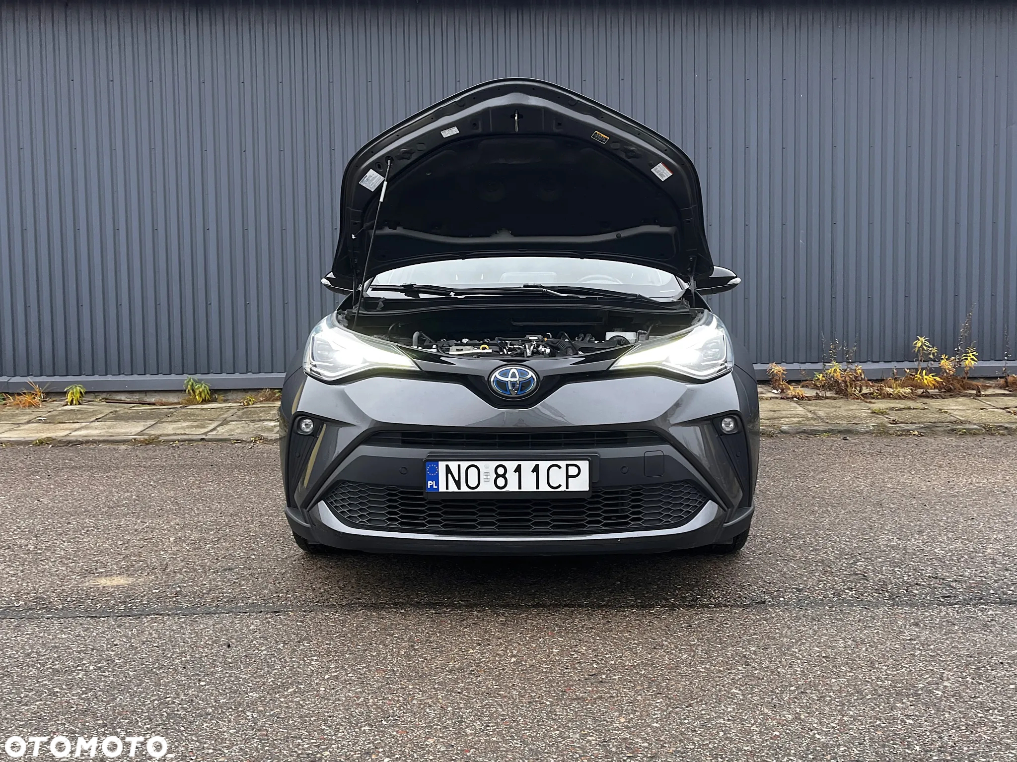 Toyota C-HR - 17