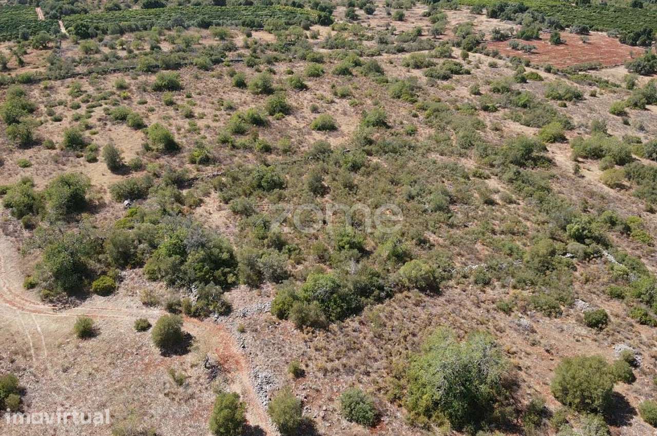 Terreno Rústico com 4.000m2 em Alturas, Alcantarilha - Grande imagem: 2/13