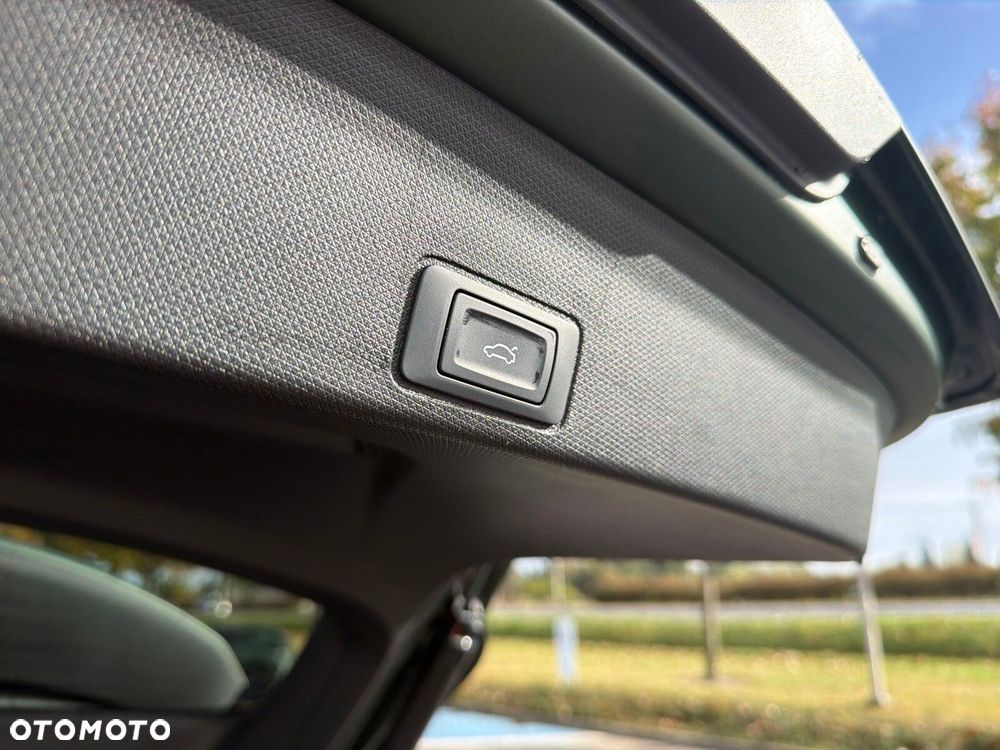 Cupra Terramar - 20