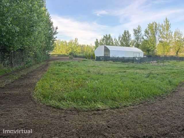 Aluga-se Terreno Rustico com 7000,00 m2 - Grande imagem: 4/7
