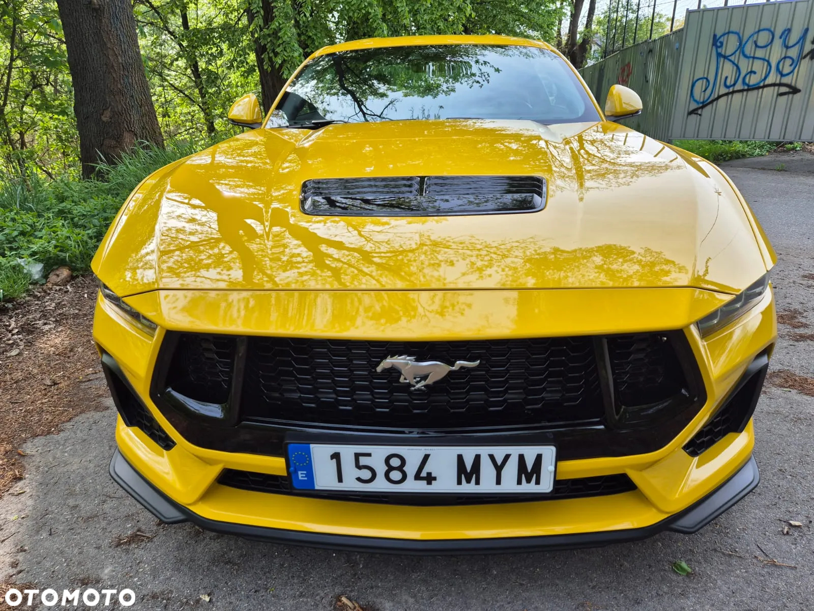 Ford Mustang Fastback 5.0 Ti-VCT V8 GT - 15