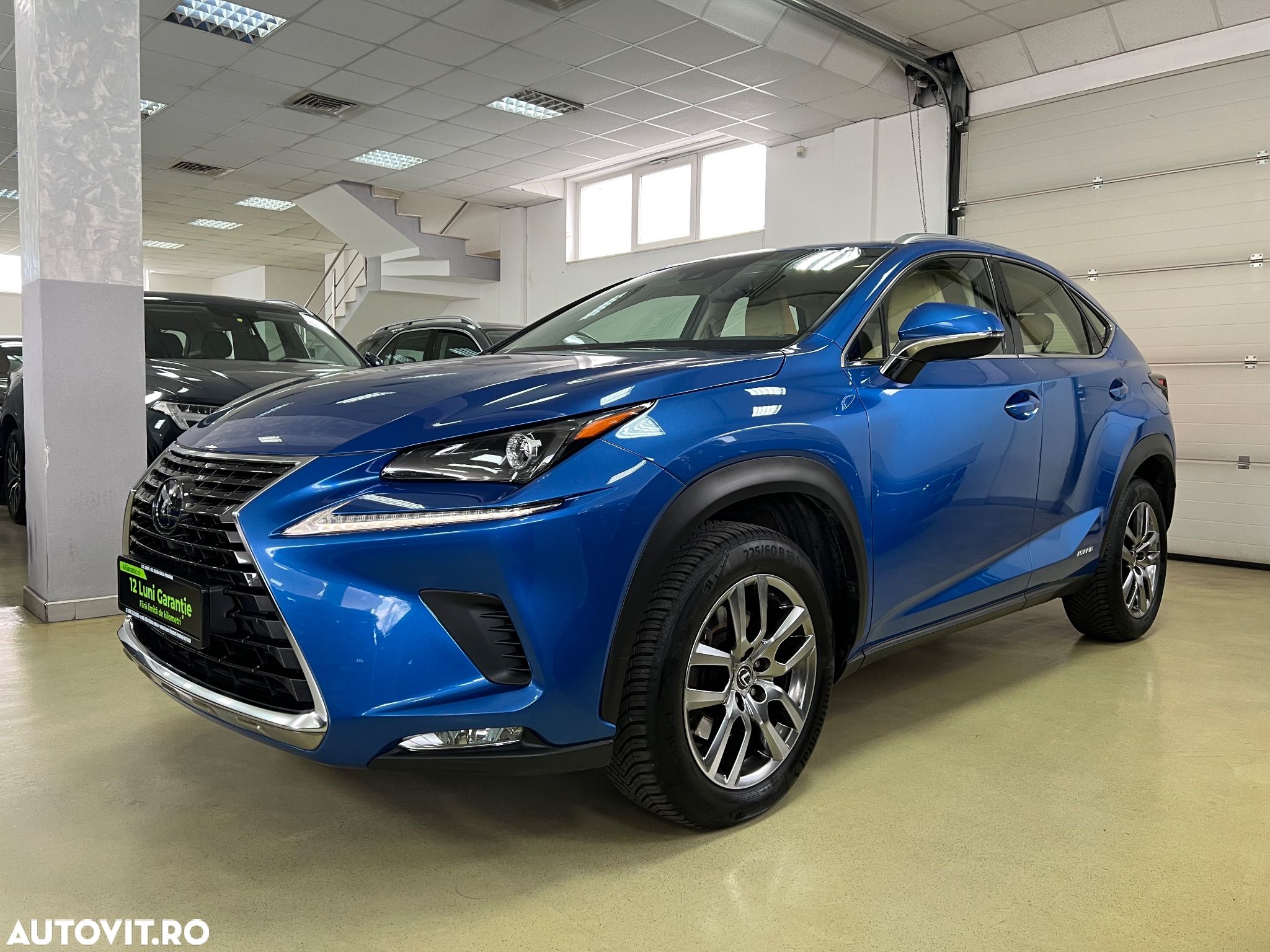 Lexus Seria NX 300h AWD Business - 1