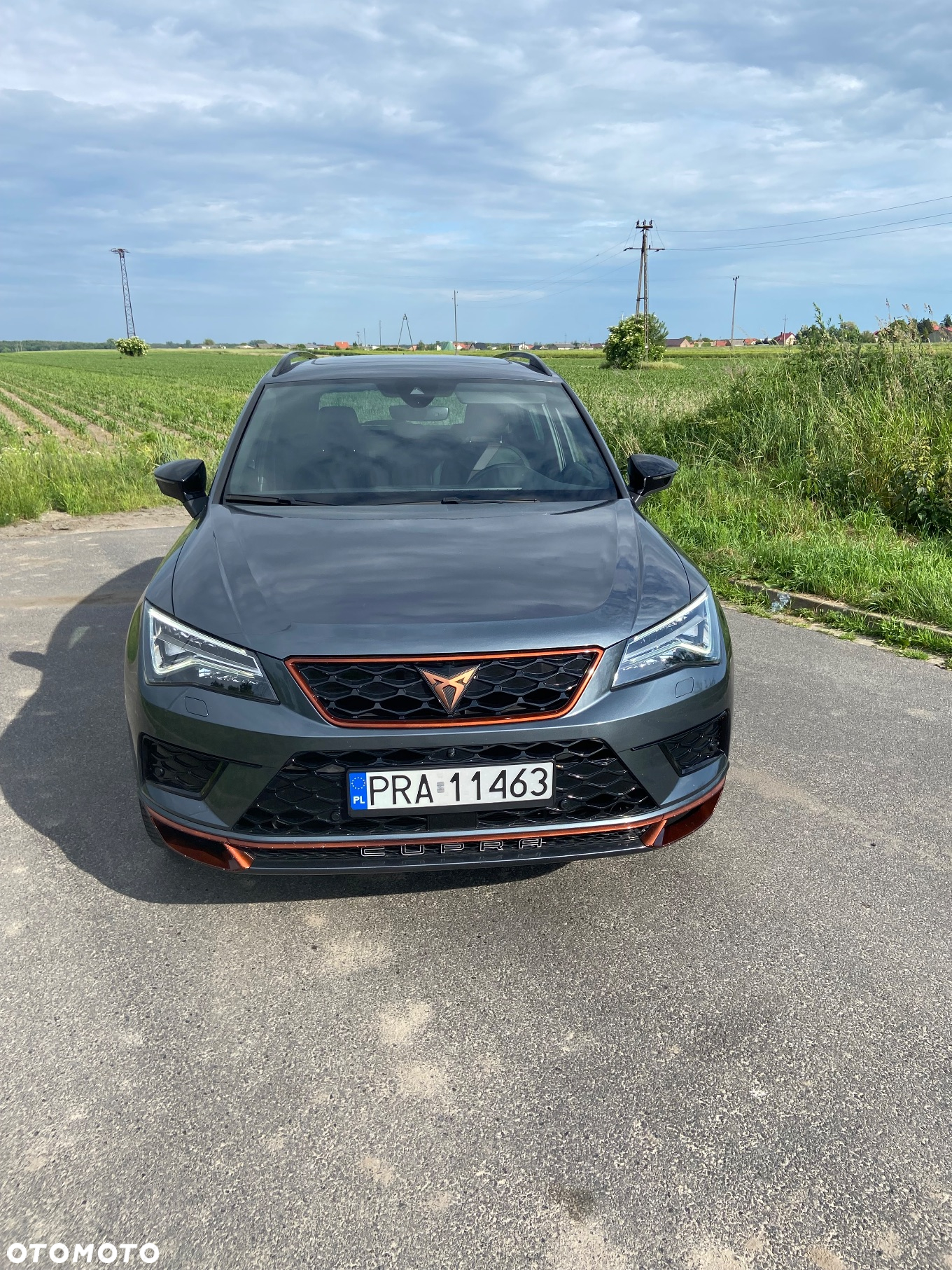 Cupra Ateca 2.0 TSI 4Drive DSG Limited Edition - 2