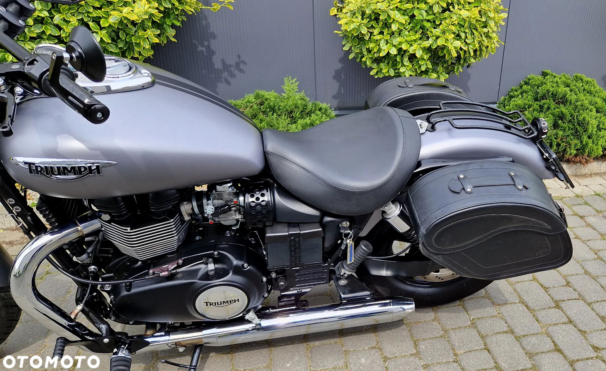 Triumph Speedmaster - 26