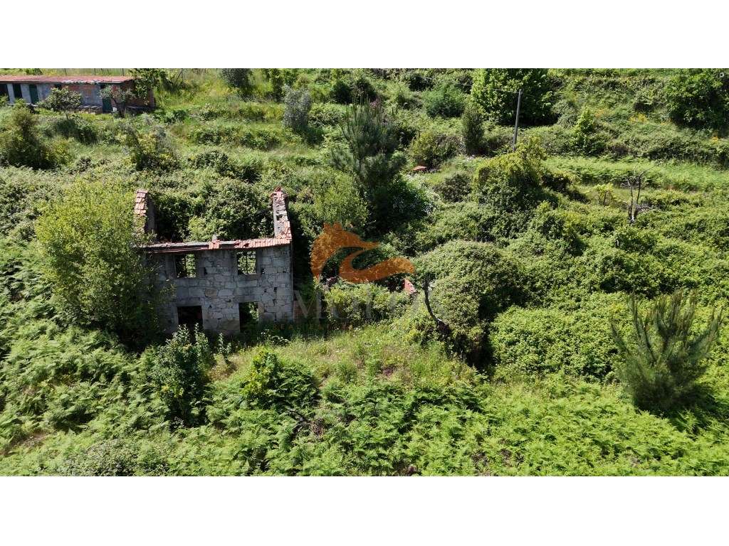 Quinta isolada na vila de Avô, Oliveira do Hospital - Grande imagem: 4/8