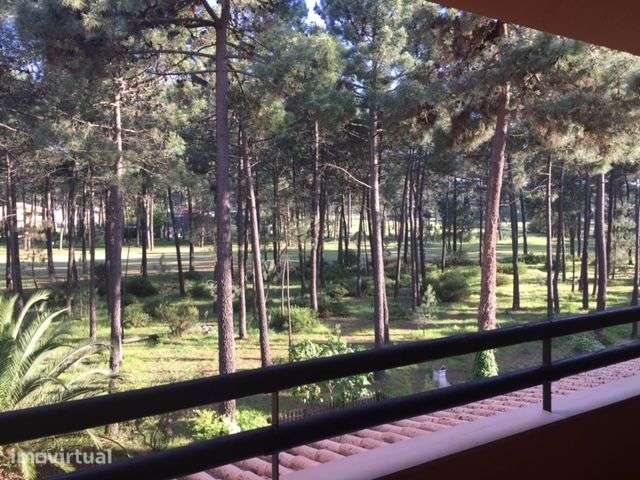Arrendamento de T1 na Herdade da Aroeira - Grande imagem: 5/19