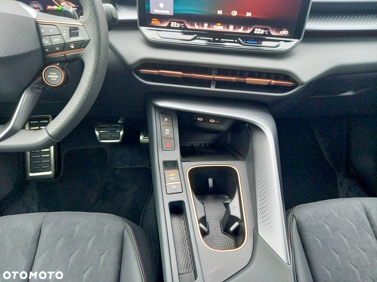 Cupra Terramar - 7
