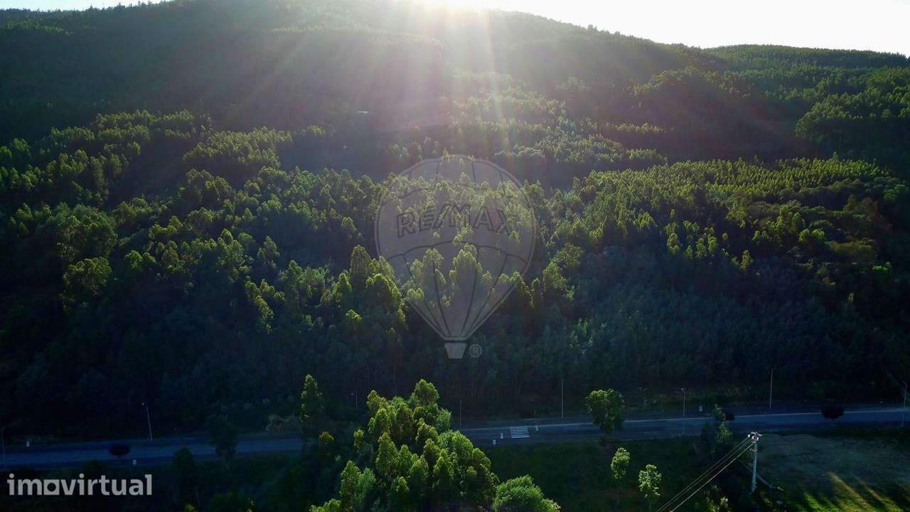 Terreno  para venda - Grande imagem: 2/3
