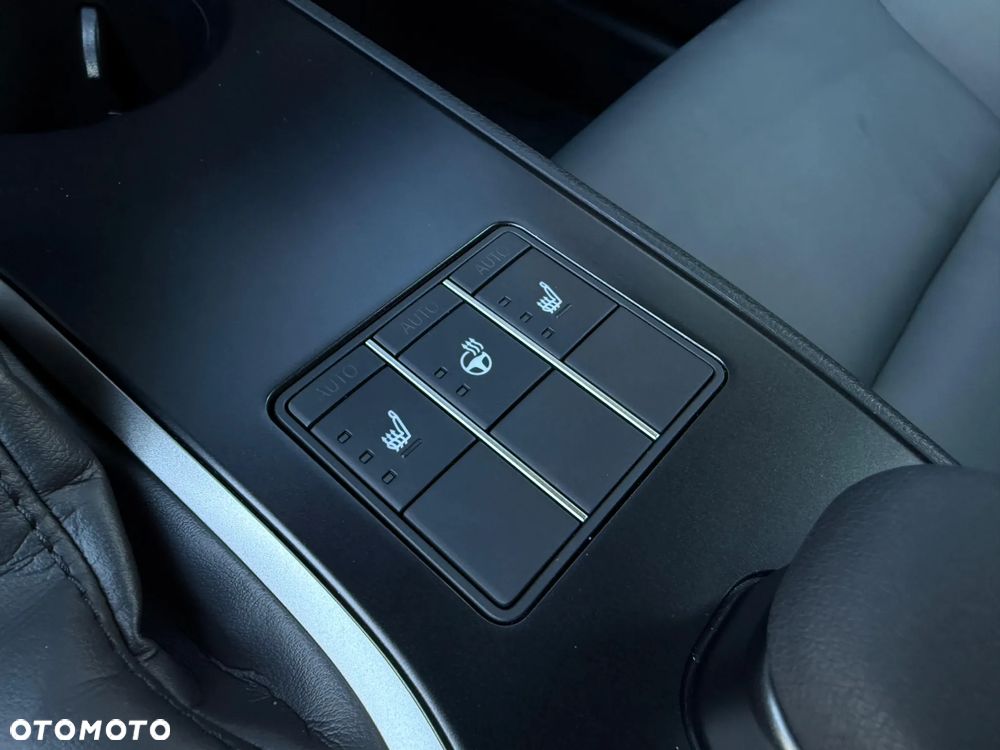 Lexus UX 250h GPF F Sport Design+ 2WD - 16