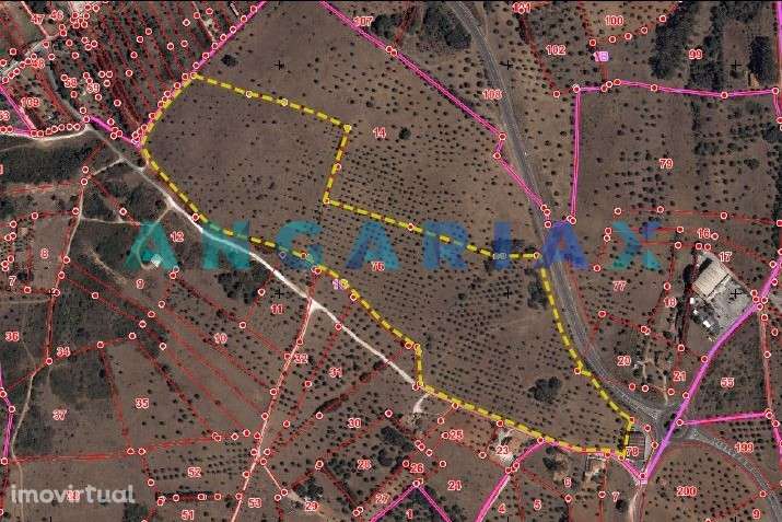 ANG1195 - Terreno para Venda em Alcanena, Santarém - Grande imagem: 2/13