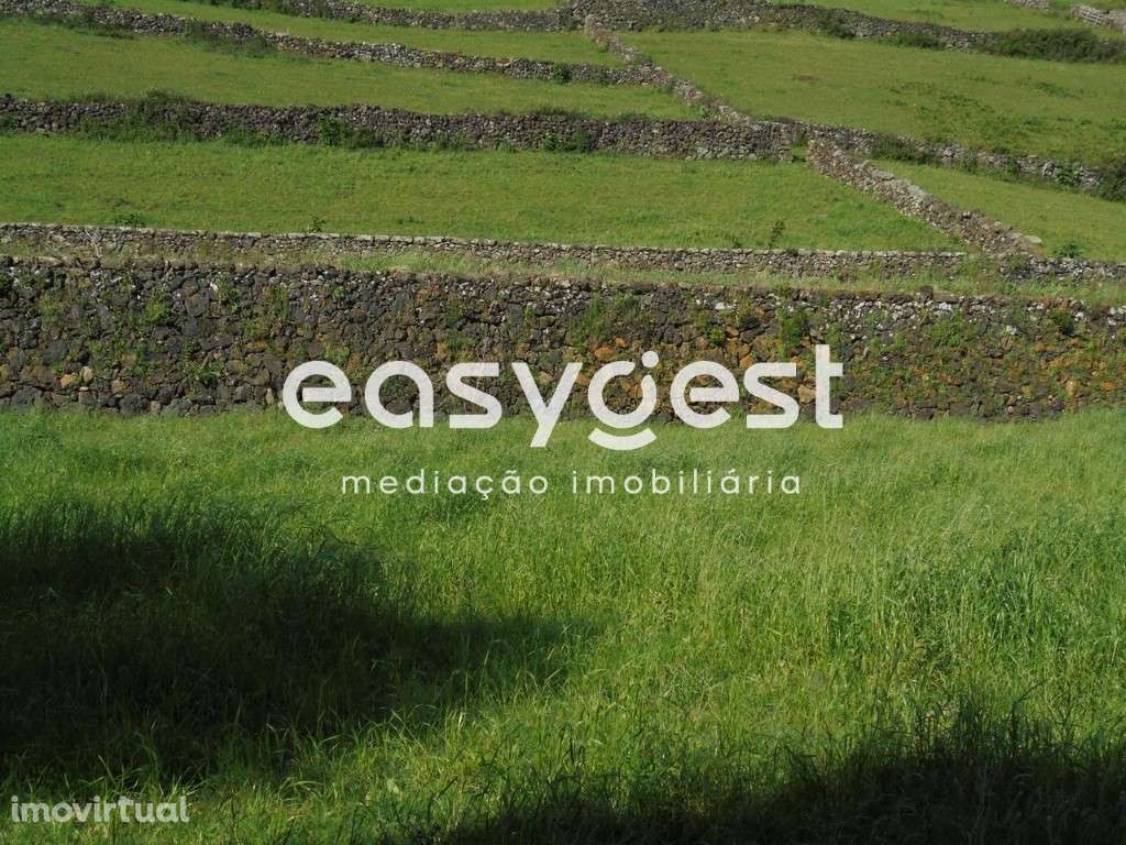 Terreno de terra lavradia e Pomar de 12 Alqueires / Terra-Chã - Grande imagem: 2/32