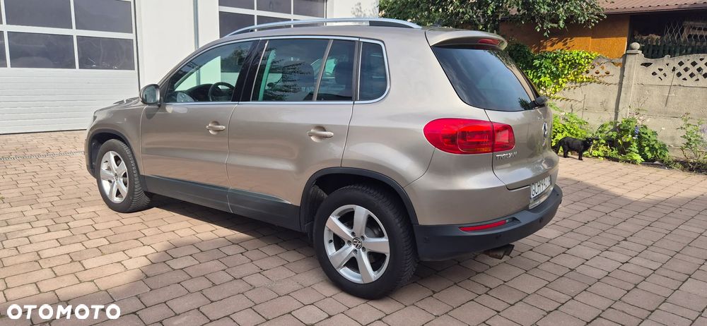 Volkswagen Tiguan - 1