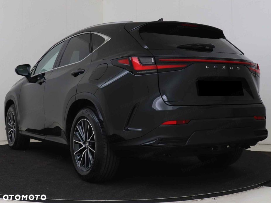 Lexus NX - 6