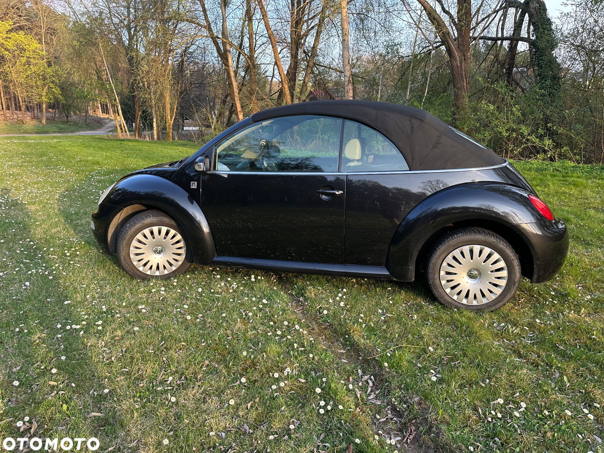 Volkswagen New Beetle 2.0 - 9
