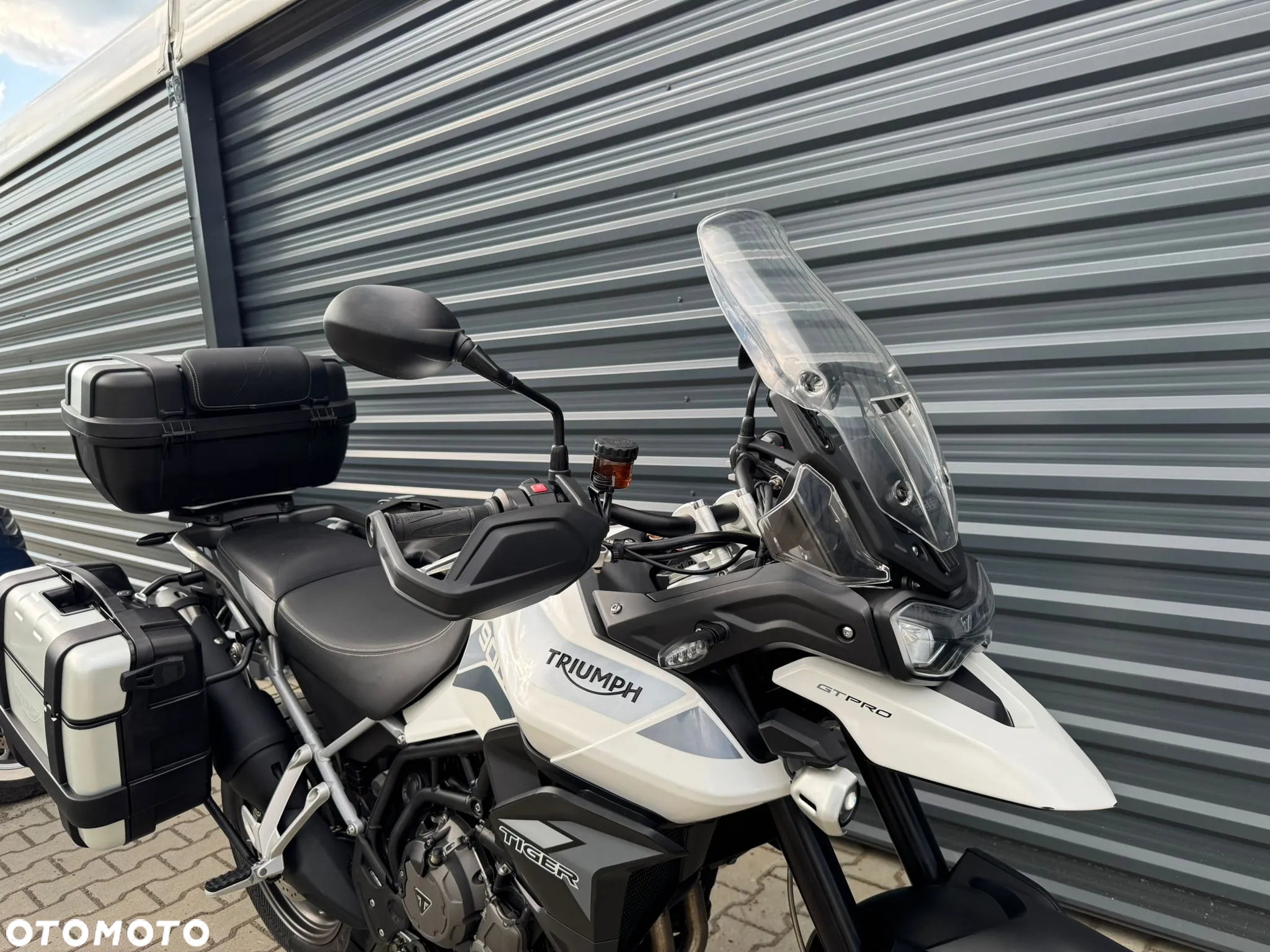 Triumph Tiger - 7