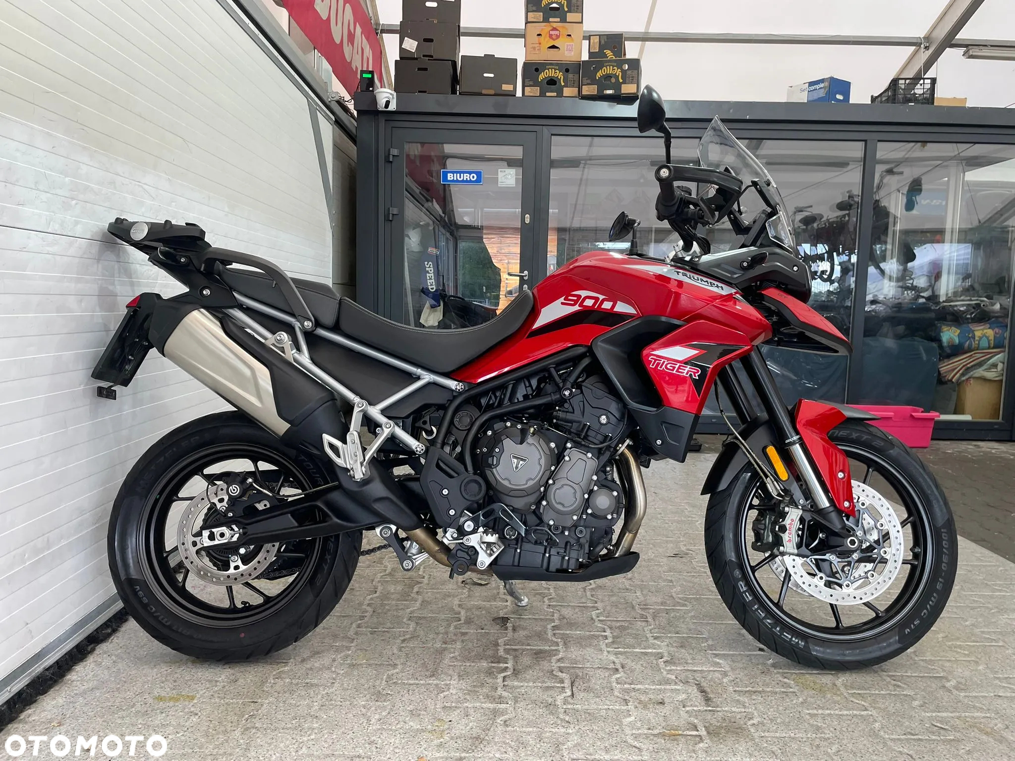 Triumph Tiger - 4